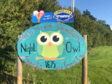 night owl sign