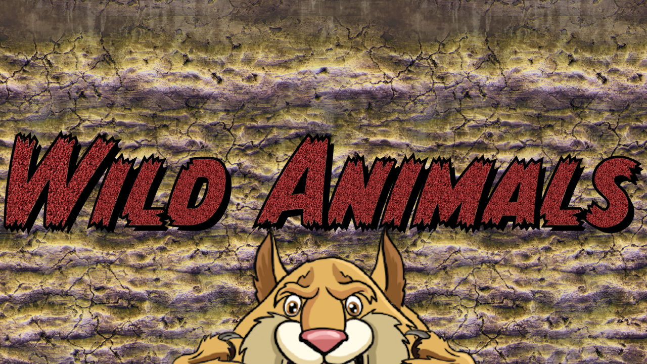 Wild Animals Part 1 Thumbnail